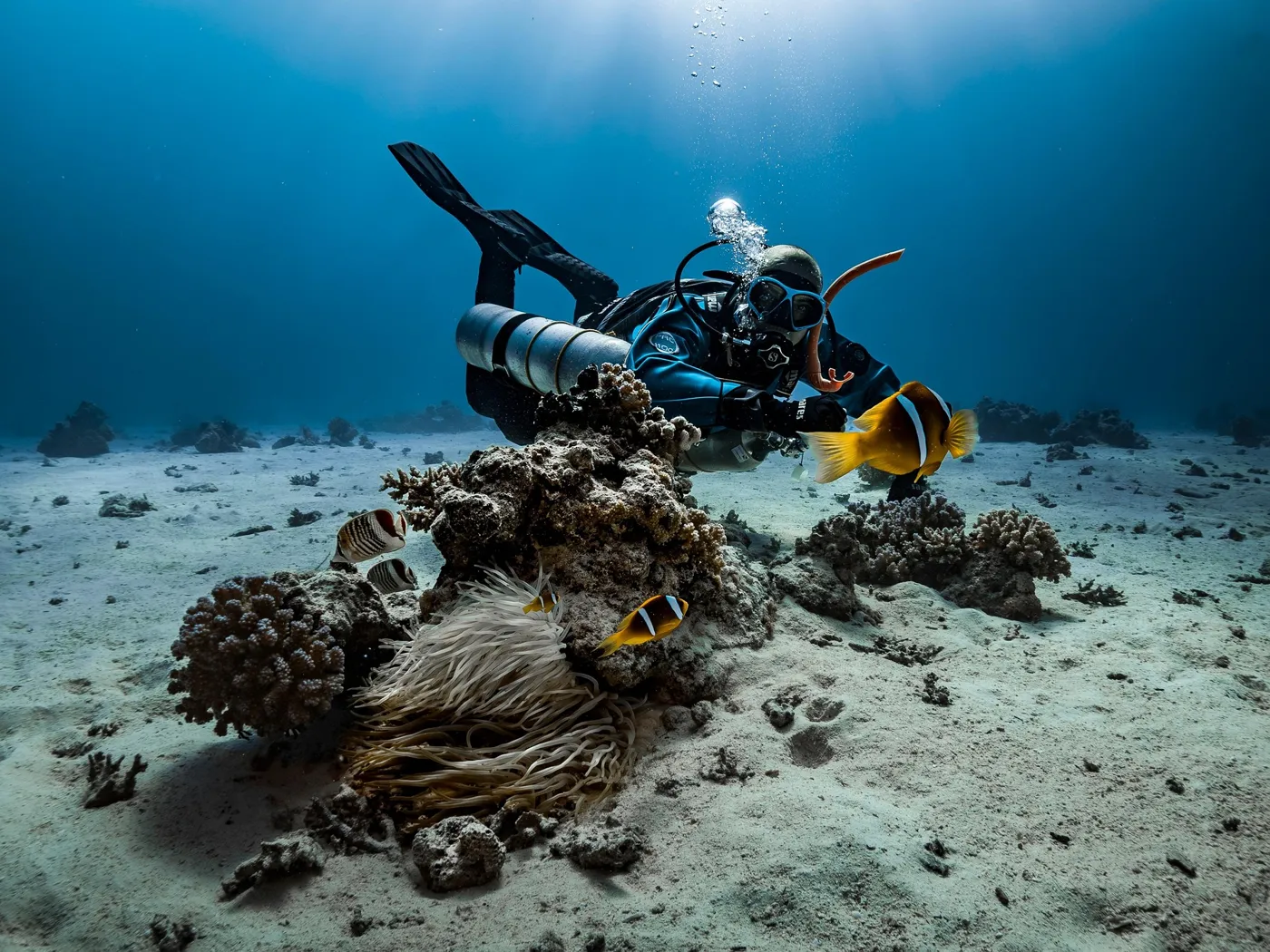 Meeresboden mit Fischen und Unterwasserwelt, sichtbar beim Schnorcheln