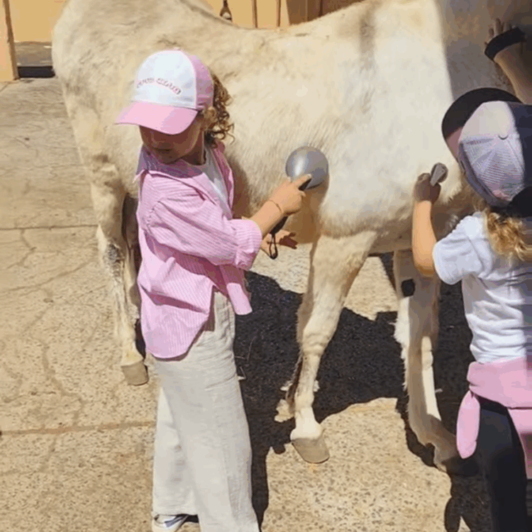 Taller de caballos infantil Lanzarote