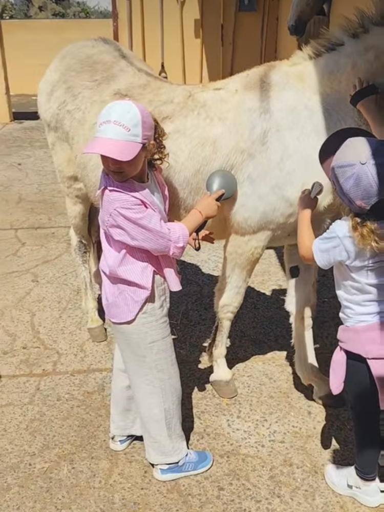 Taller de caballos infantil Lanzarote
