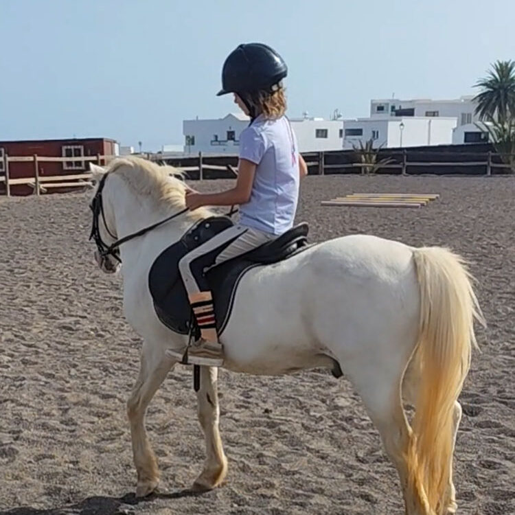 Taller de caballos infantil Lanzarote