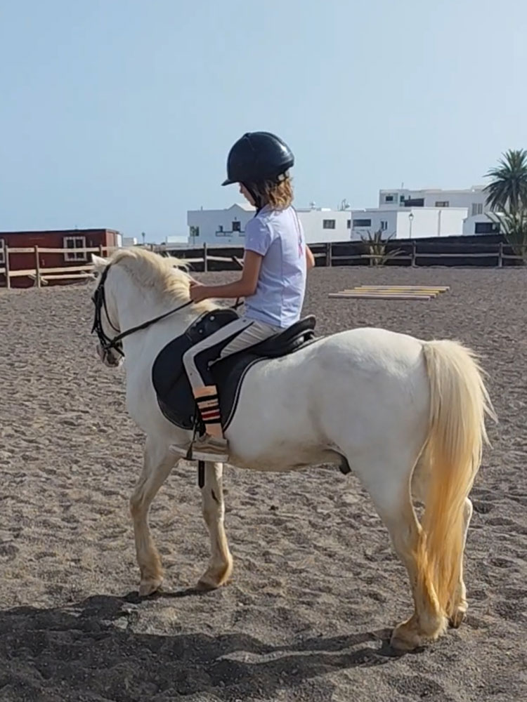 Taller de caballos infantil Lanzarote