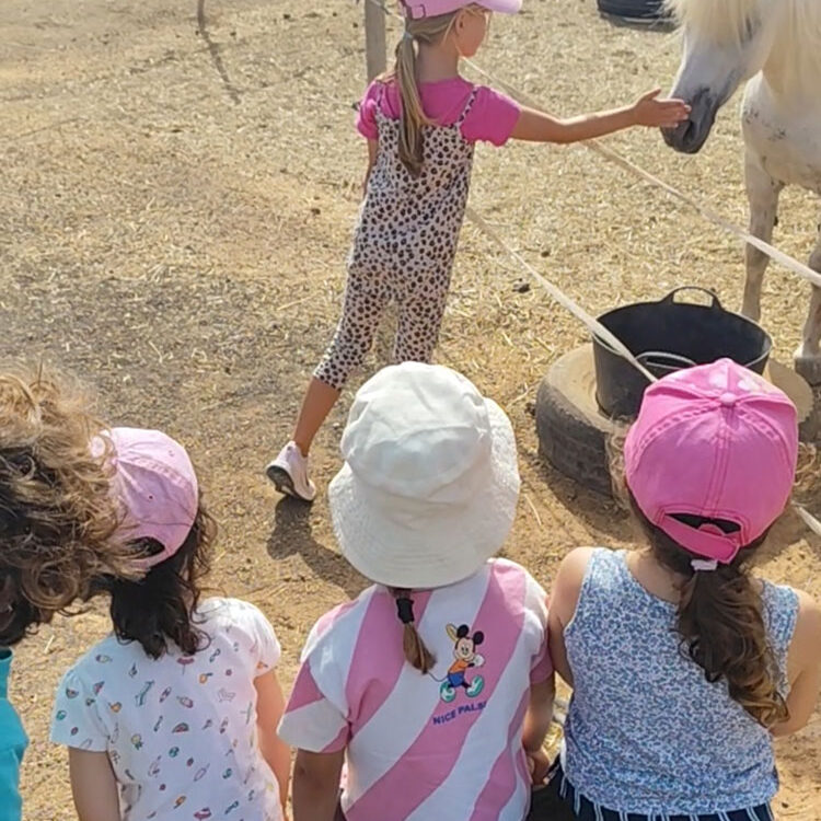 Taller de caballos infantil Lanzarote