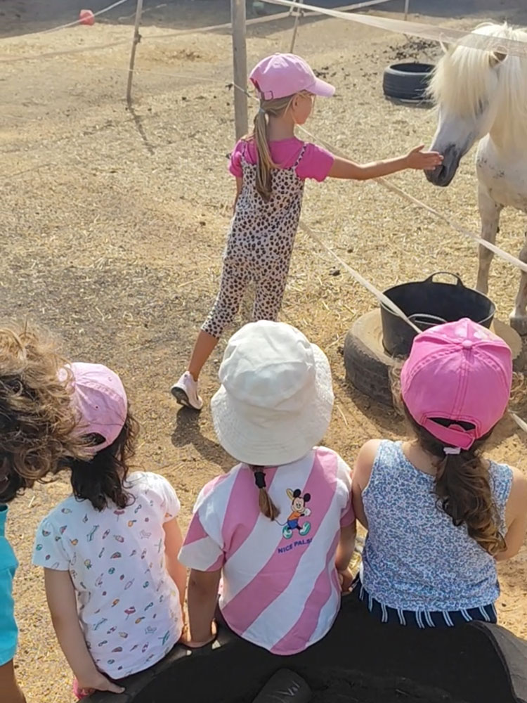 Taller de caballos infantil Lanzarote