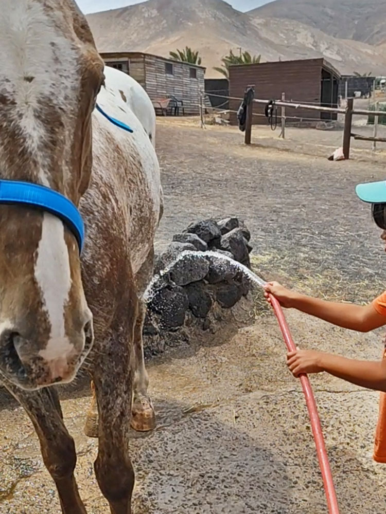 Taller de caballos infantil Lanzarote