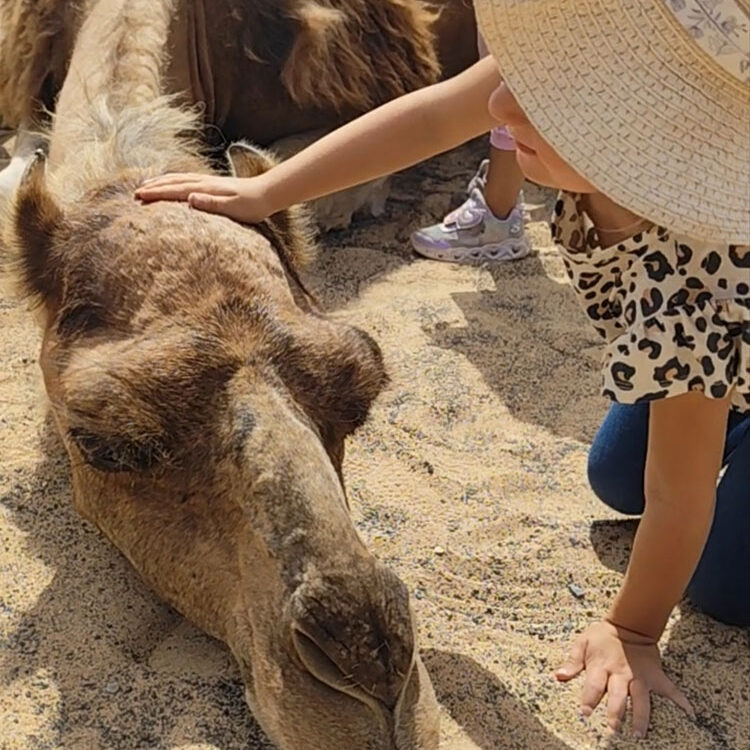 Taller educativo de Granja en Lanzarote
