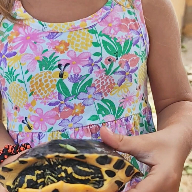 Taller educativo de Granja en Lanzarote