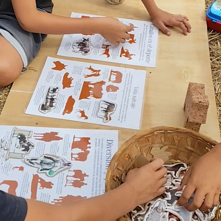 Taller educativo de Granja en Lanzarote