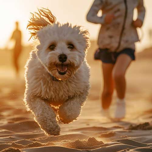 Sesion de surf Lanzarote en familia